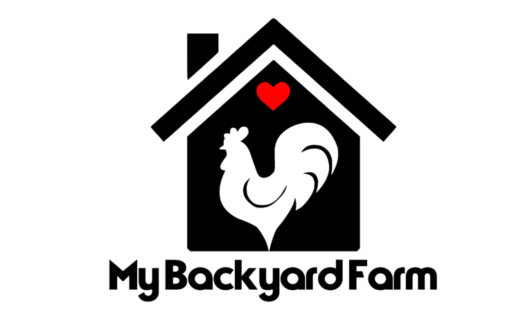 superior-hen-house-my-backyard-farm