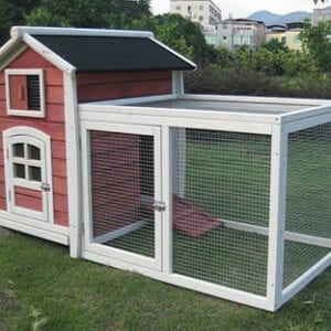 My Backyard Farm